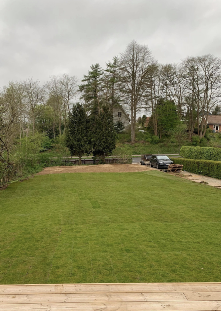 Skaermbillede 2026 03 11 Kl. 16.05.59 728x1024