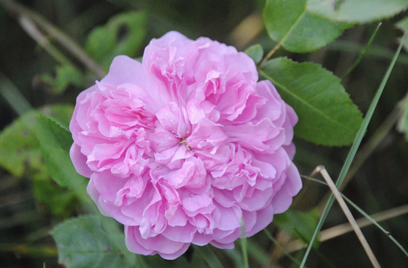 Skaermbillede 2026 03 11 Kl. 16.09.28