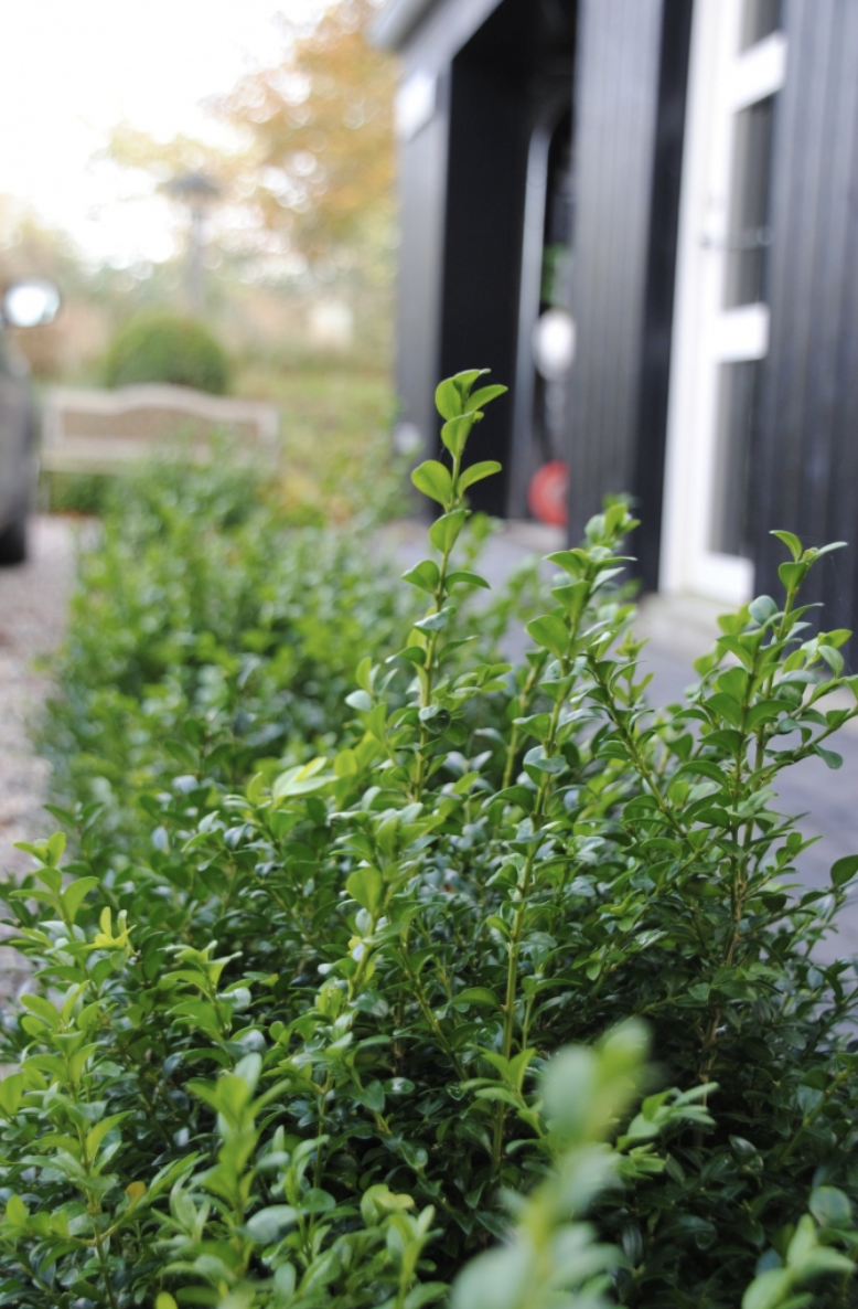 Skaermbillede 2026 03 11 Kl. 16.09.37